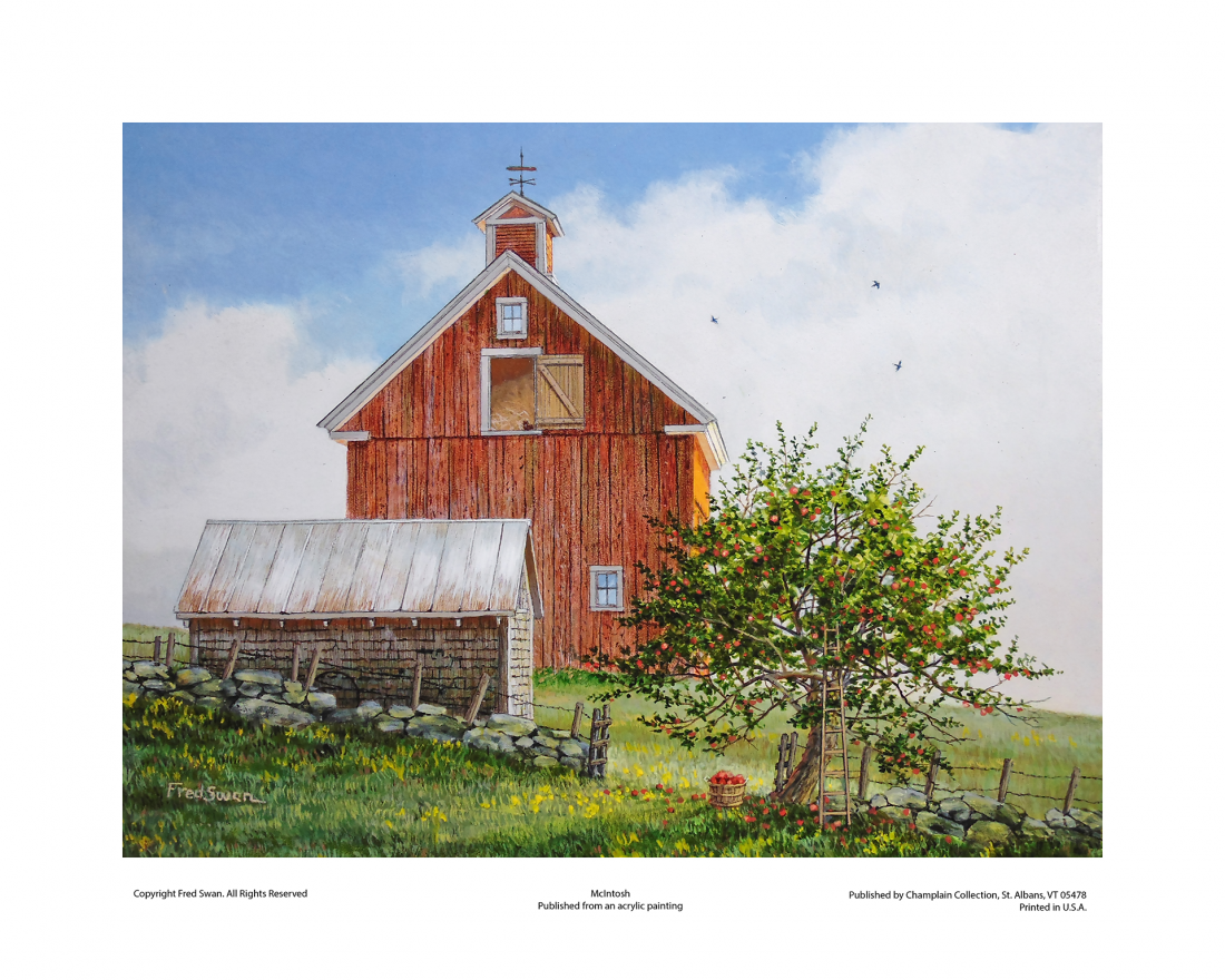 McIntosh - American Realist Painting by Fred Swan