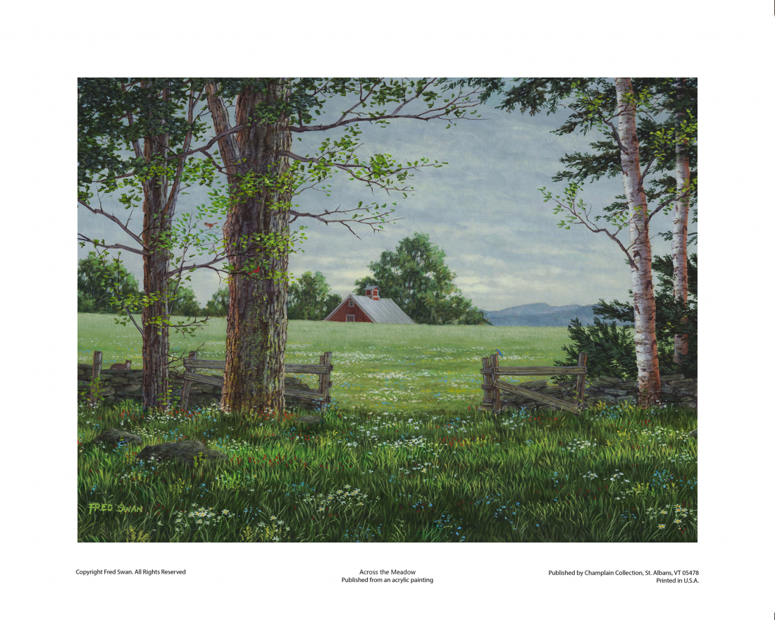 Across the Meadow
