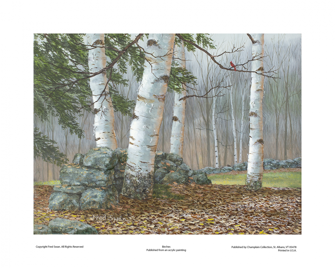 Birches