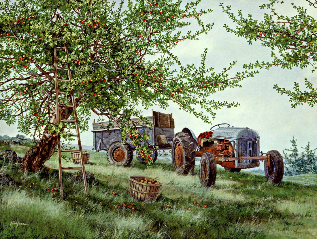 Gathering Apples