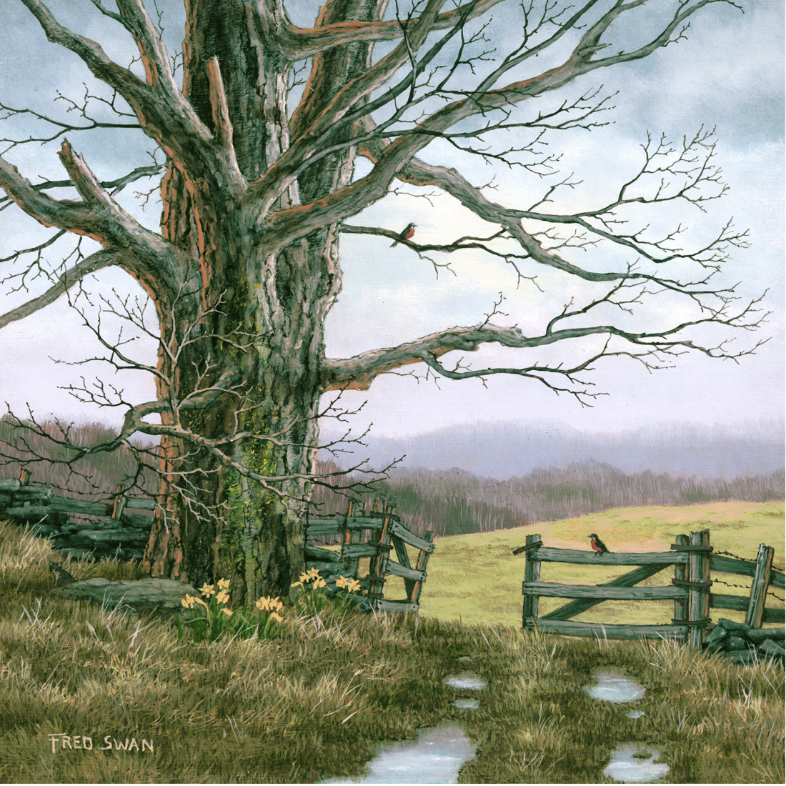 Spring Gate