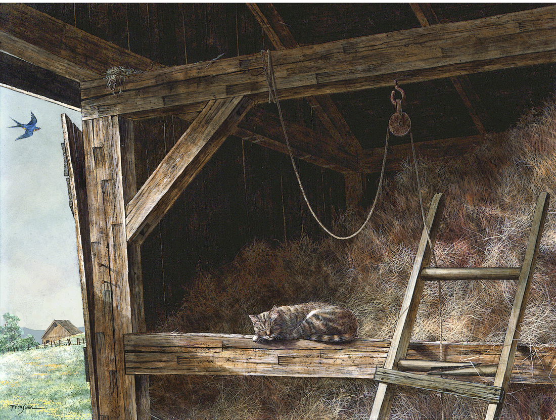 Barn Cat