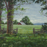 Across the Meadow