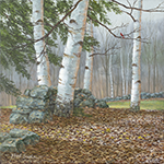 Birches