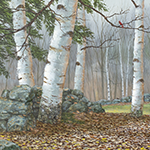 Birches