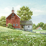 Field of Daisies