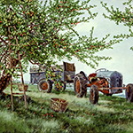 Gathering Apples