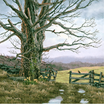 Spring Gate