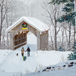 Stowe Hollow Christmas