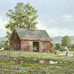Summer Grazing