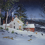 Winter Visitor